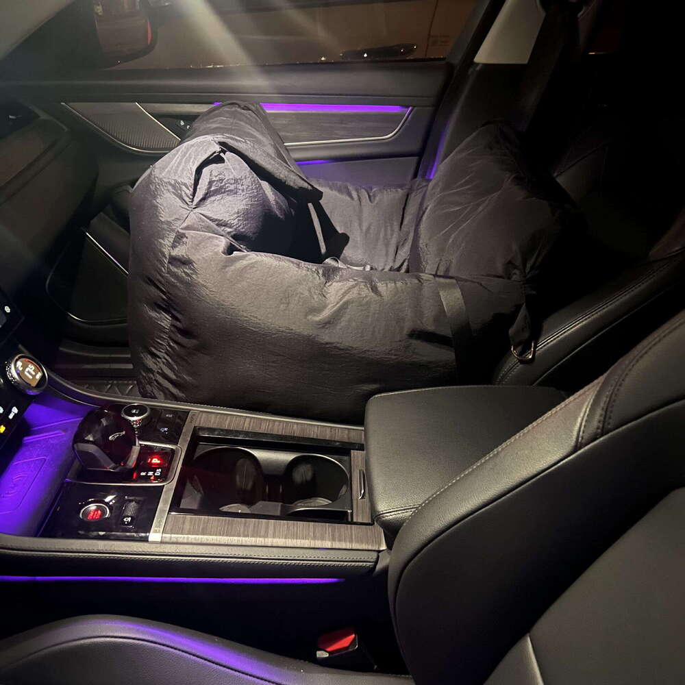 Black Designer Car Removable Classic Portable Dog Bed Teddy Schnauzer Crossbody Pet Cat Nest Mat Free shipping