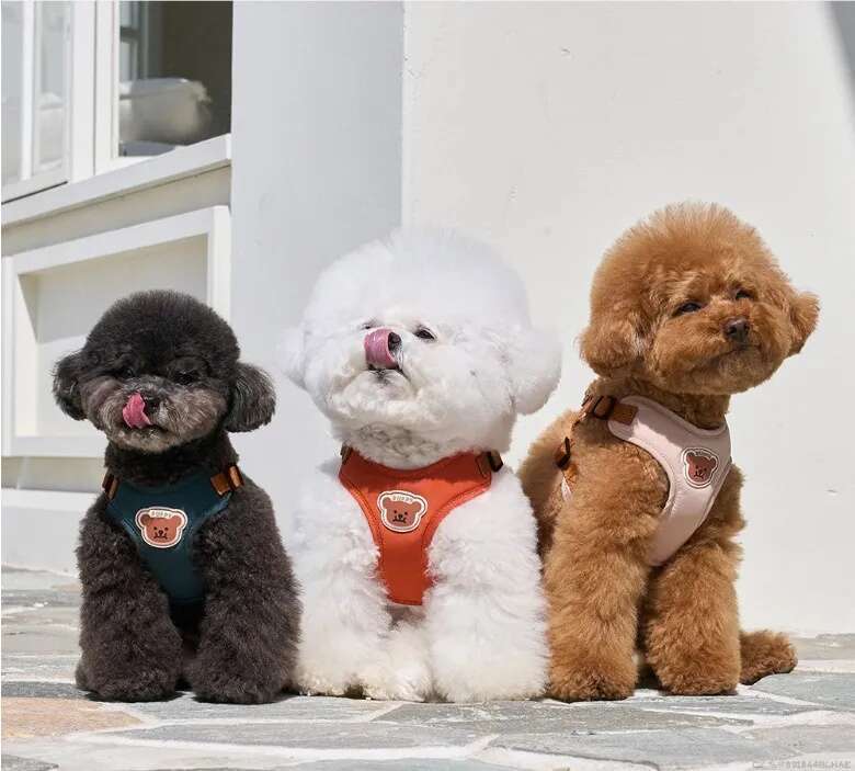 Cute Bear Pet Leash Set Vest Strap Adjustable Breathable Harness for Puppy Cat Dog