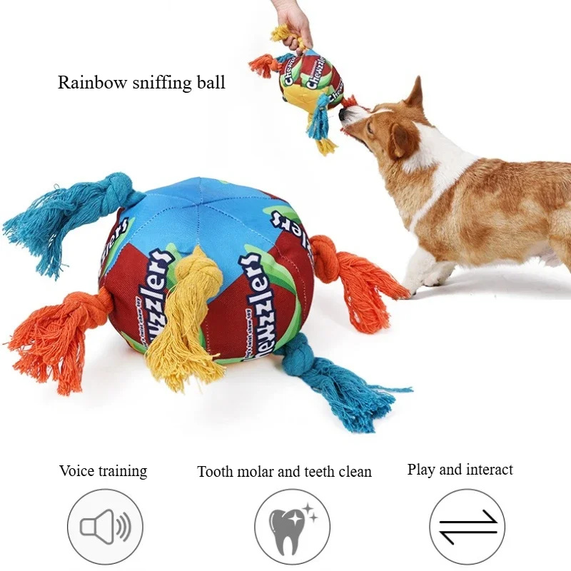 Plush Dog Toys Squeaky Dog Toys Stuffed Toys for Small Medium Large All Breed Sizes Dogs Big Armadillo Animals Toy