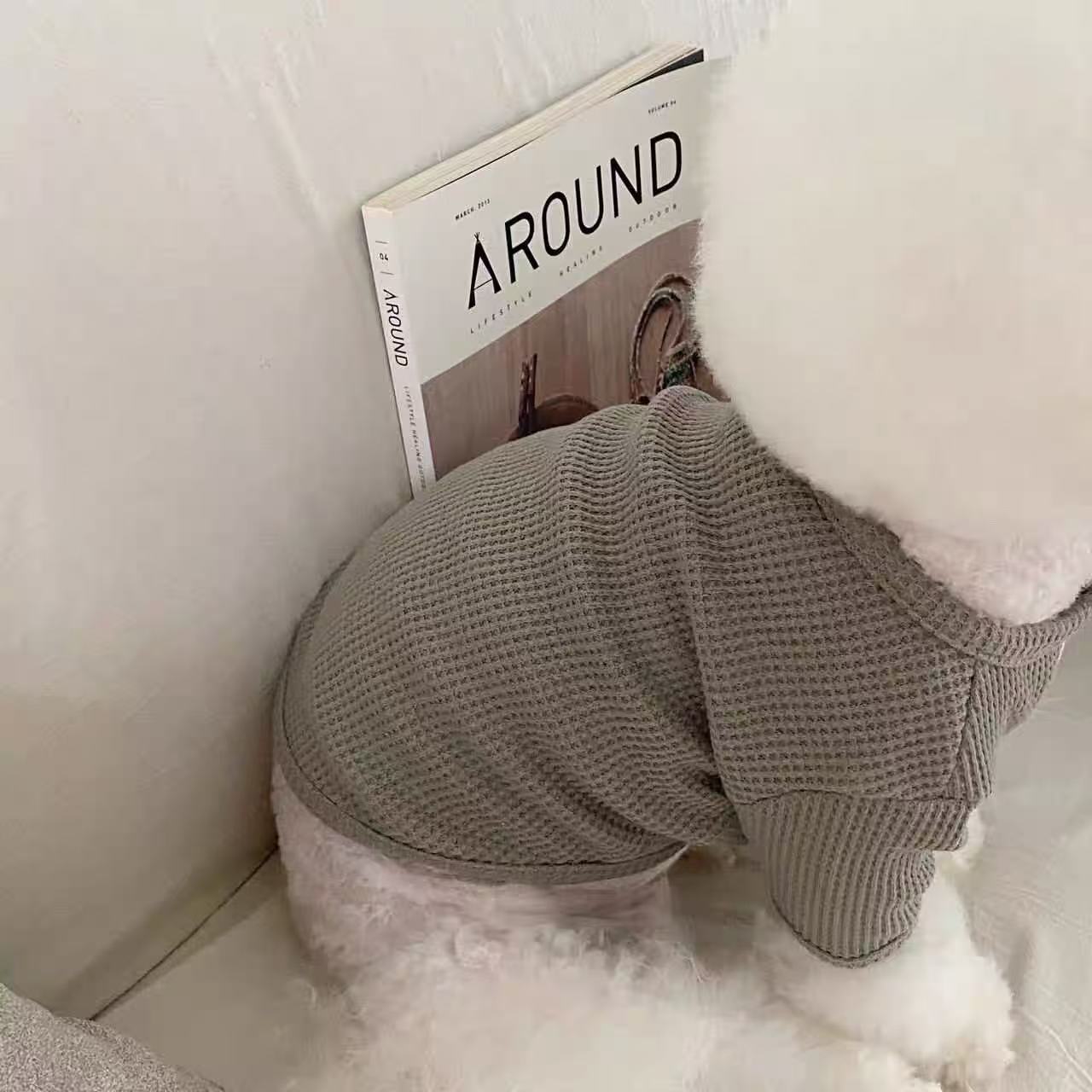 T1240 Dog Spring, Summer, Autumn and Winter Thin Vest Bear Head Yorkshire Terrier Bichon Maltese Teddy Pomeranian Small Dog Clothes
