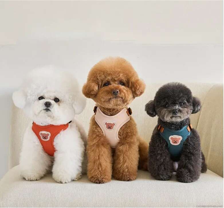 Cute Bear Pet Leash Set Vest Strap Adjustable Breathable Harness for Puppy Cat Dog