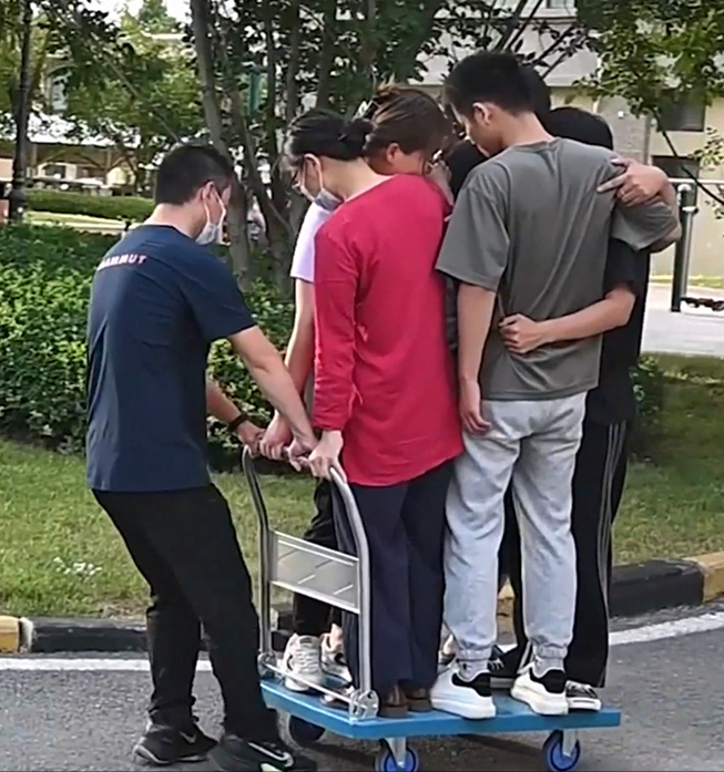 Folding trolley - silent, household, lightweight, portable moving vehicle, four-wheel tool, small trolley, courier warehouse cargo flatbed truck