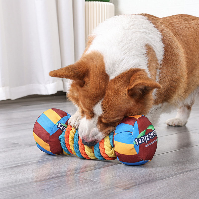 Plush Dog Toys Squeaky Dog Toys Stuffed Toys for Small Medium Large All Breed Sizes Dogs Big Armadillo Animals Toy