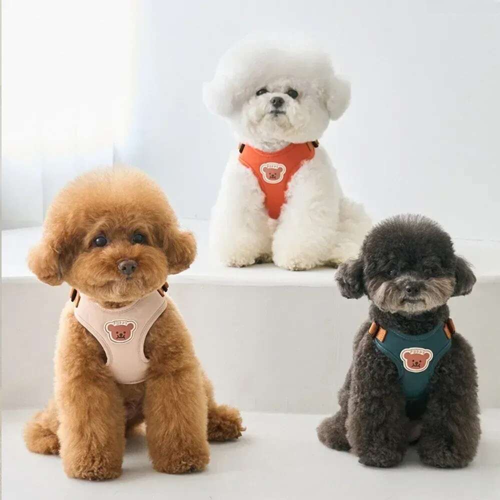 Cute Bear Pet Leash Set Vest Strap Adjustable Breathable Harness for Puppy Cat Dog
