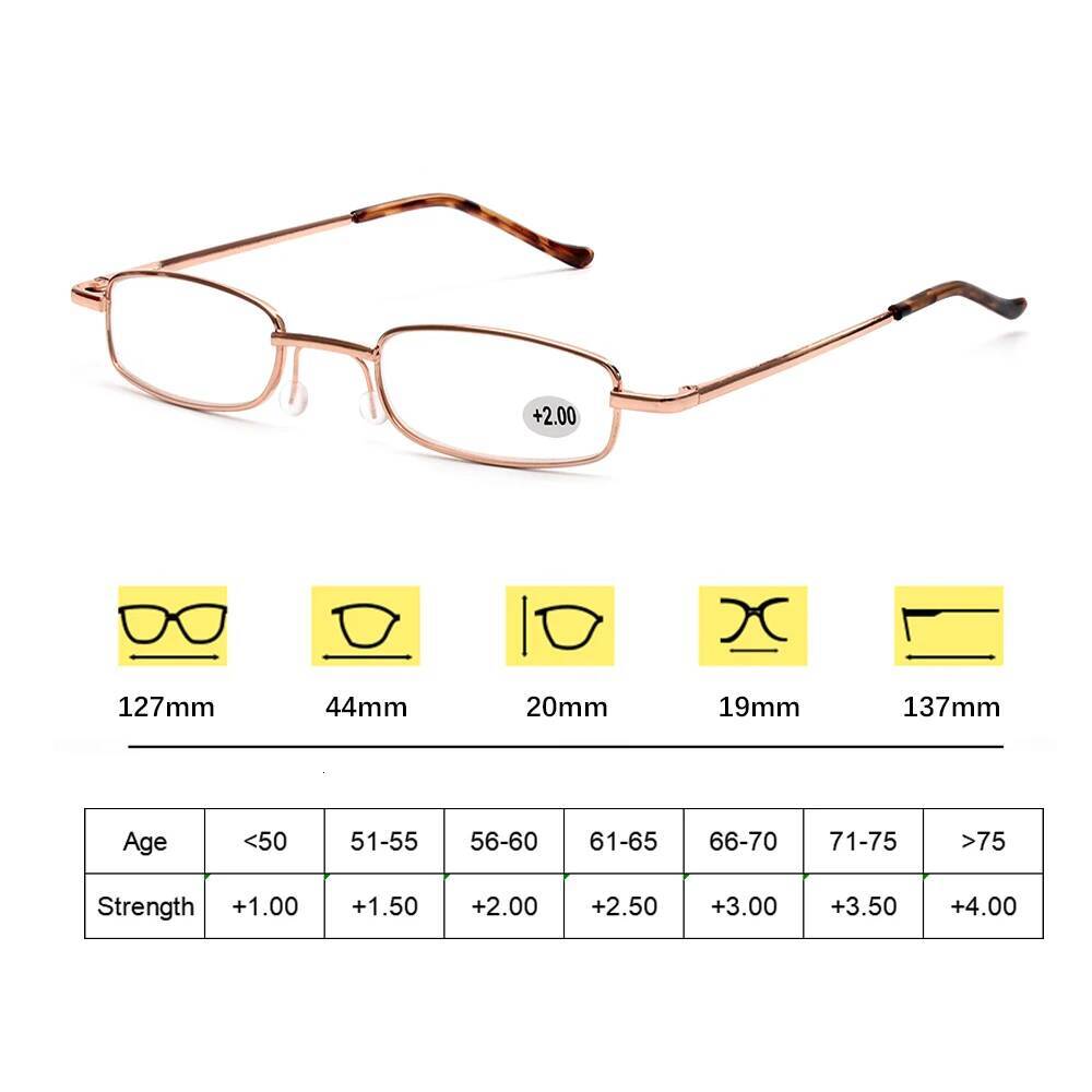 Unisex Reading with Pen Tube Portable Presbyopic Glasses Metal Case Spring Hinge Eyeglasses Vision Care +1.00~+4.00 ddmythur