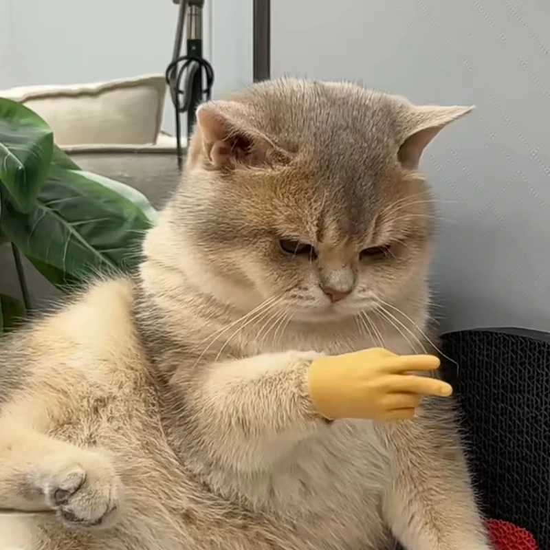 Pet Cat Toy Cat Finger Cover Mini Silicone Small Hand Cover Cat Funny Toy Halloween Gift Pet Accessories X250918