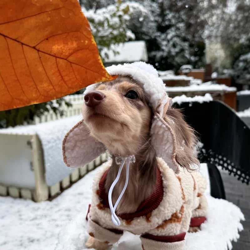 Winter Thick Fleece Coat For Dachshund Luxury Windproof Warm Wiener Jacket with Hat Warm 4Legged Badger Dog CothesXJ250918