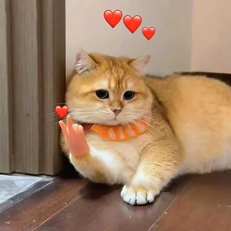 Pet Cat Toy Cat Finger Cover Mini Silicone Small Hand Cover Cat Funny Toy Halloween Gift Pet Accessories X250918