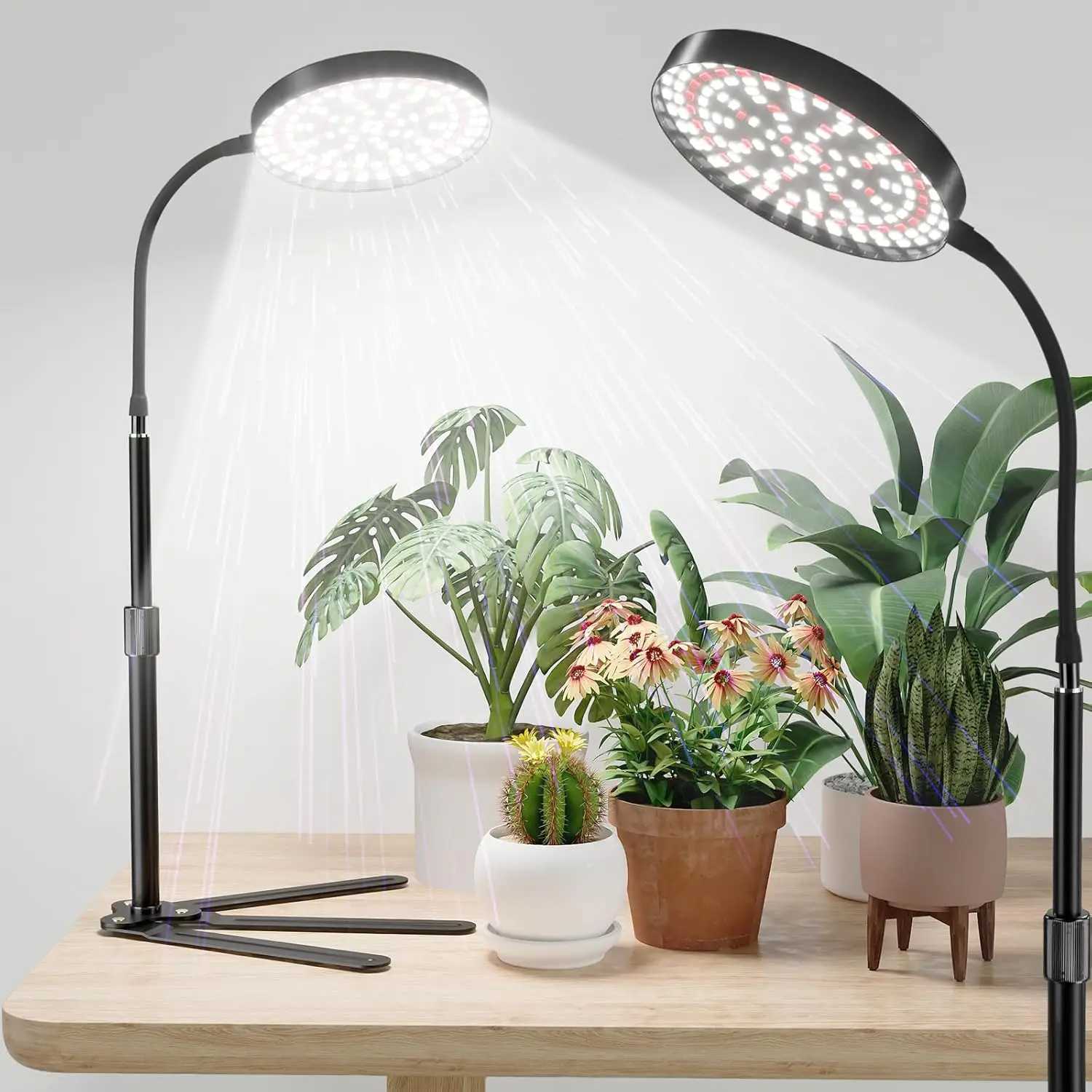 Plant Grow Light LED Full Spectrum Plant Growing Lamp for Home Office Indoor PlantsAdjustable Height Auto Timer C250919