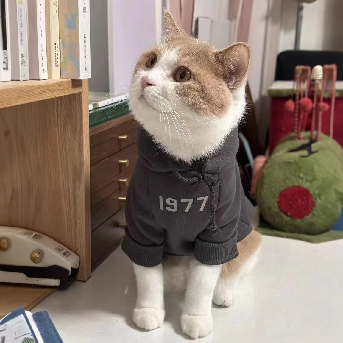 Design dog clothes Dog Apparel Hoodies Letter Fleece ed Fall Puppy Sweatshirt Soft Warm Sweater Winter Hooded Clothes For Small Dogs