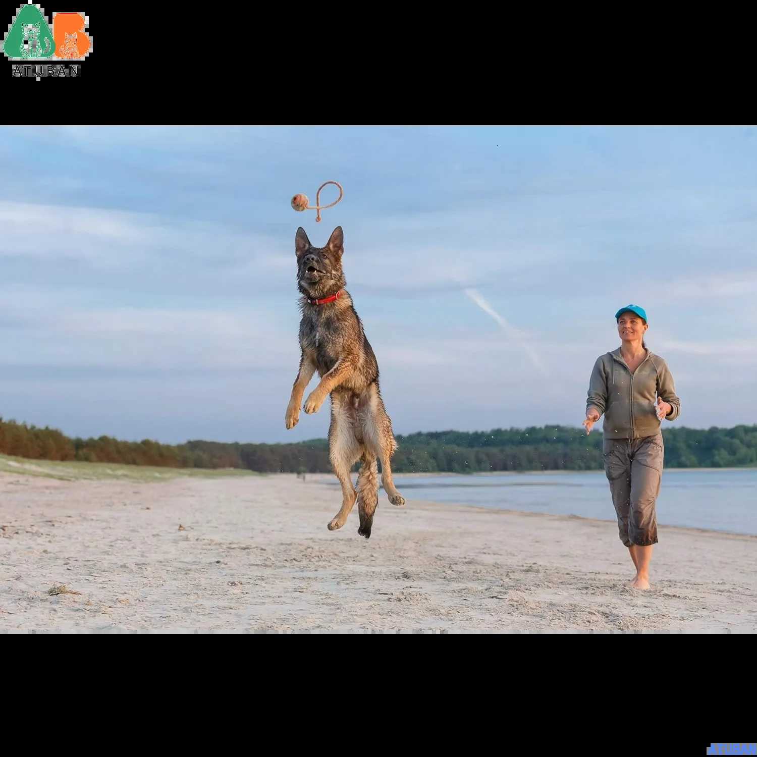 ATUBAN Durable Natural Rubber Ball on a RopePerfect Dog Training Medium Size Dog Toy for Fetch Catch Throw and Tug War Plays X250918