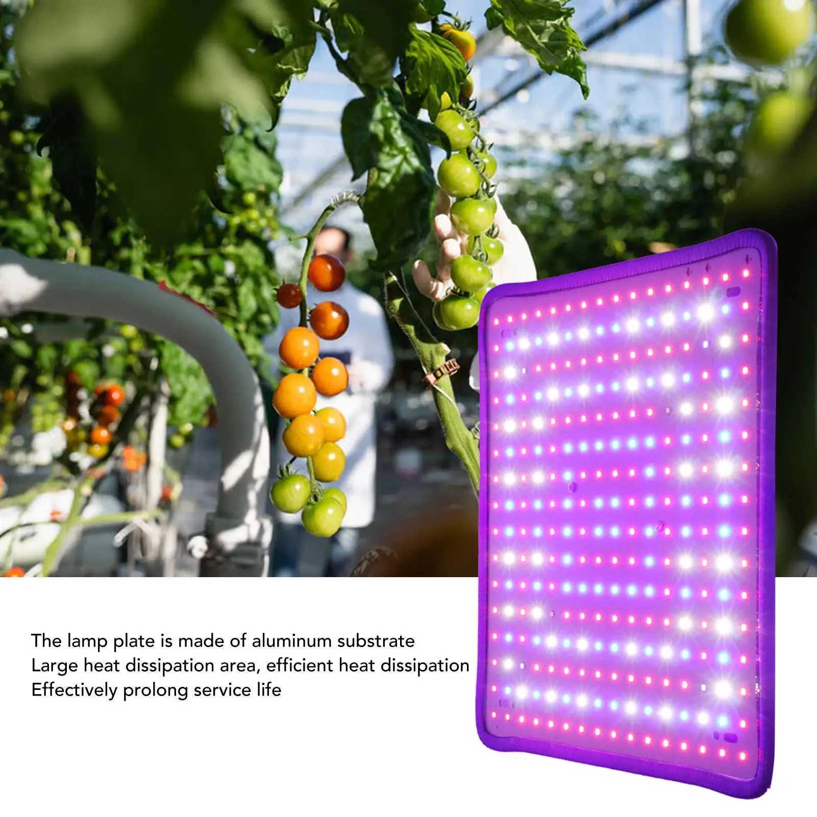 1000W Low Heat LED Grow Light for greenhouse Plant Growth 85 to 265V Efficient Plant Growing Lamp C250919