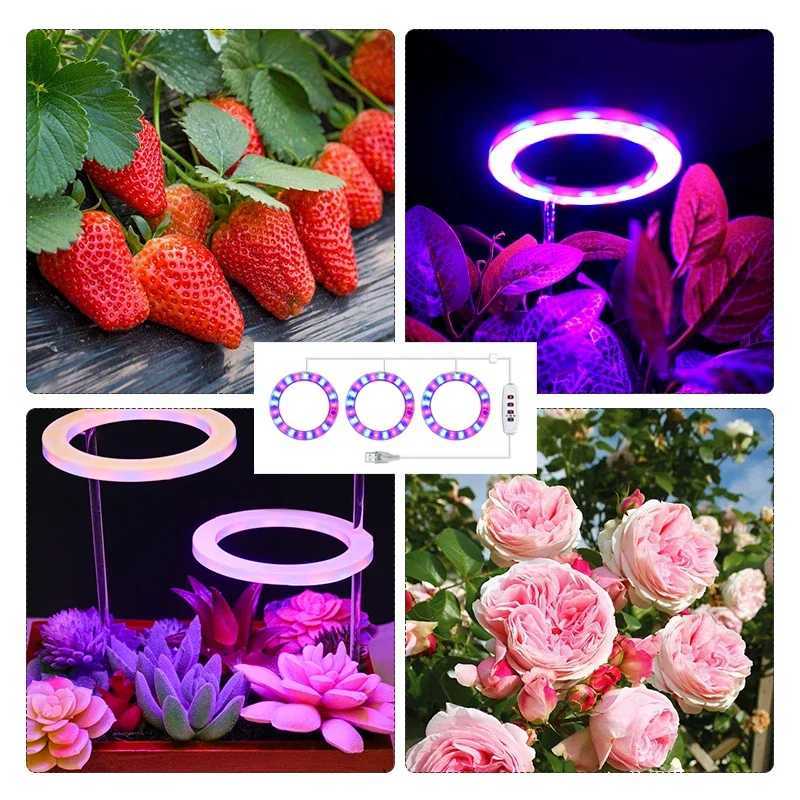 Led Angel Ring Grow Plant Light DC 5V USB Plug Phytolamp for Plants Full Spectrum Lamp For Indoor Seedlings Home Flower Succulet C250919