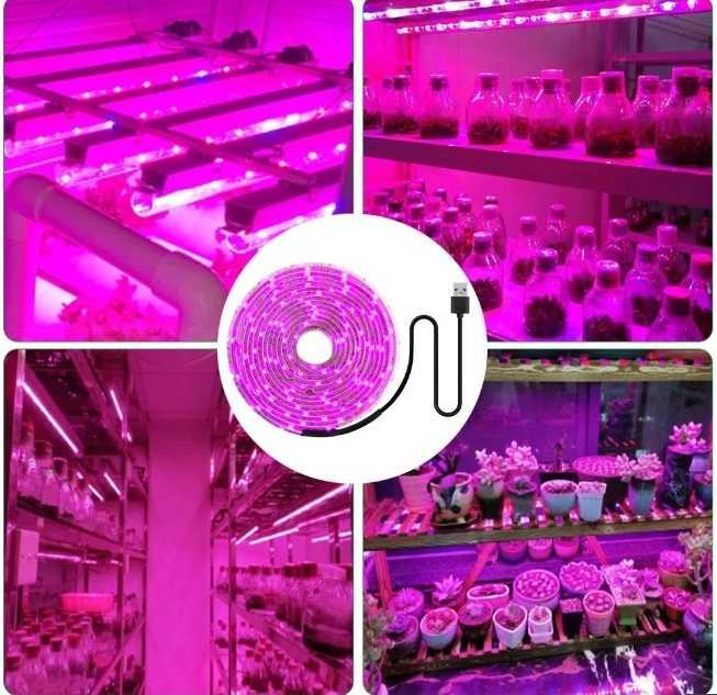 DC 5V USB Led Plant Grow Lights1m 2m 3m Full Spectrum Phyto Lamp Strip for Plants Hydroponics Greenhouse Growing System C250919