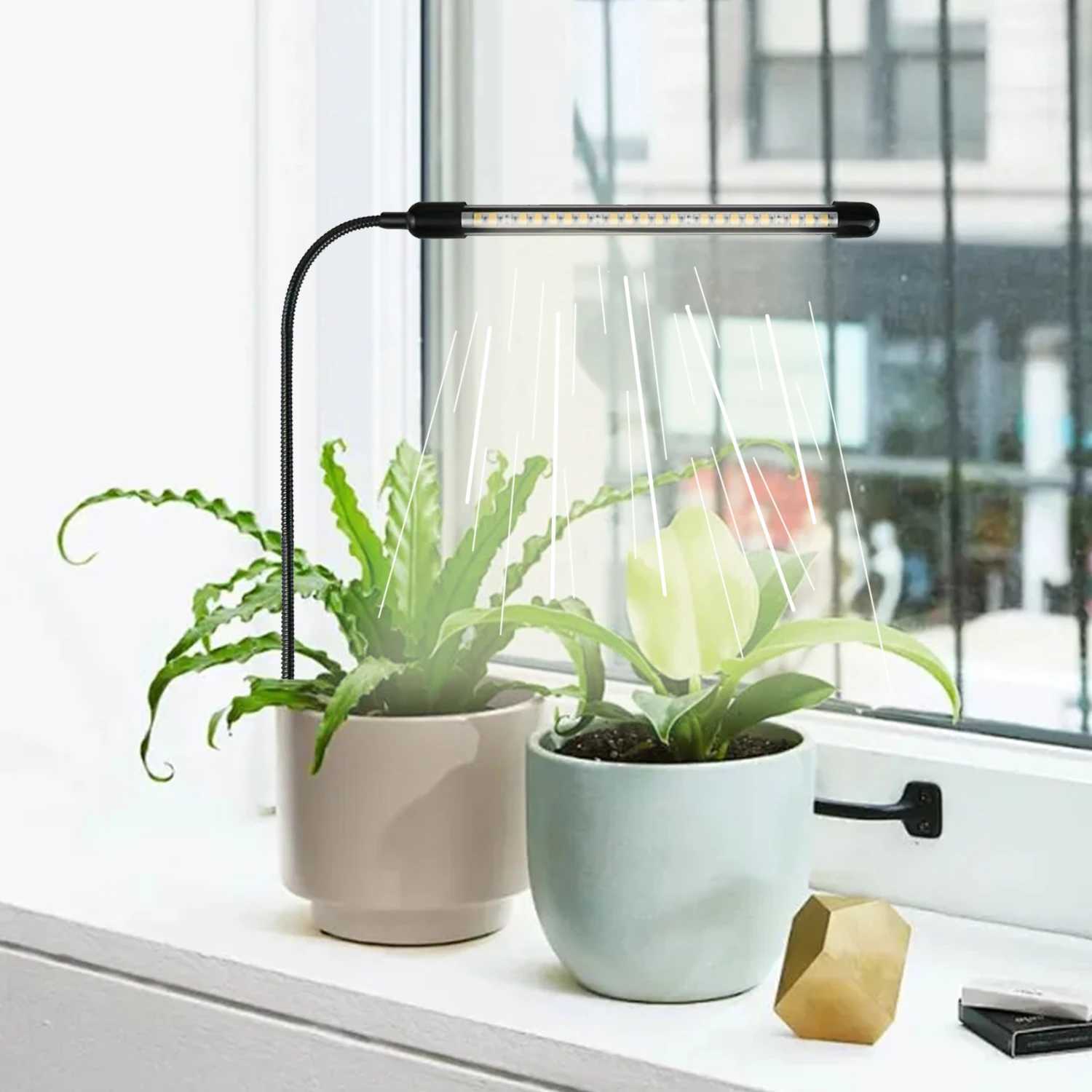 12pcs singletube floorstanding plant lights with 5 adjustable brightness settings and 3 different timing options C250919