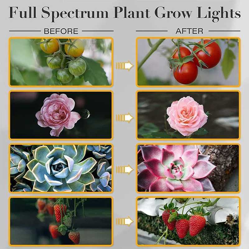 12pack 3Head Clip Plant Grow Lights with Flexible Gooseneck 4812H Timer 3 Spectral Modes and 5 Dimmable Levels for Indoor C250919