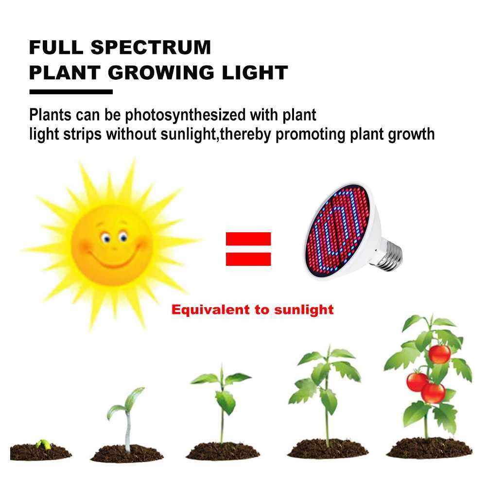 126 200 300 Leds Led Grow Light E27 220V Full Spectrum Phyto Lamp Plant Bulb Growth Light Hydroponics Greenhouse Lamp Grow Tent C250919