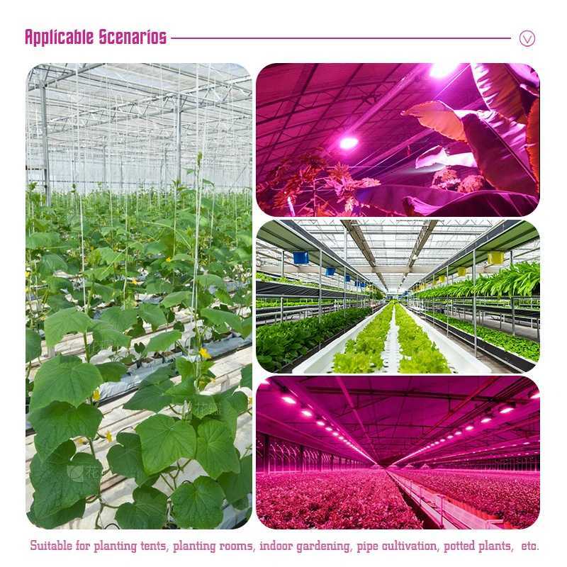 Latest Growing Lamps AC 220V Led Full Spectrum Plant Floodlight Greenhouse Plant Grow Light EU Plug Multiple Colors Available C250919
