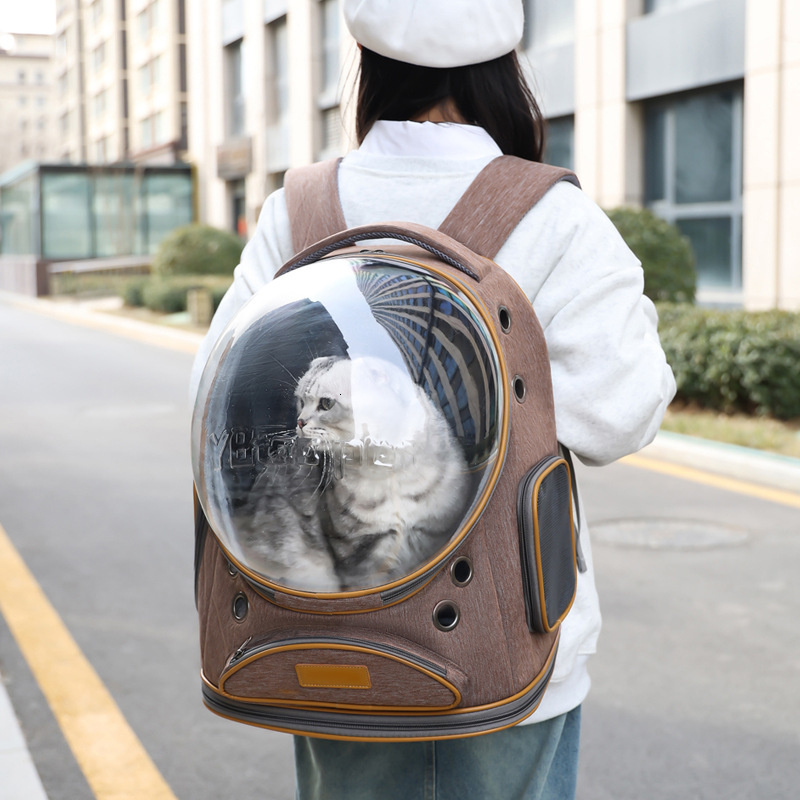 New Cat Backpack Large Capacity Breathable Panoramic Space Capsule Pet Outing Portable Bag
