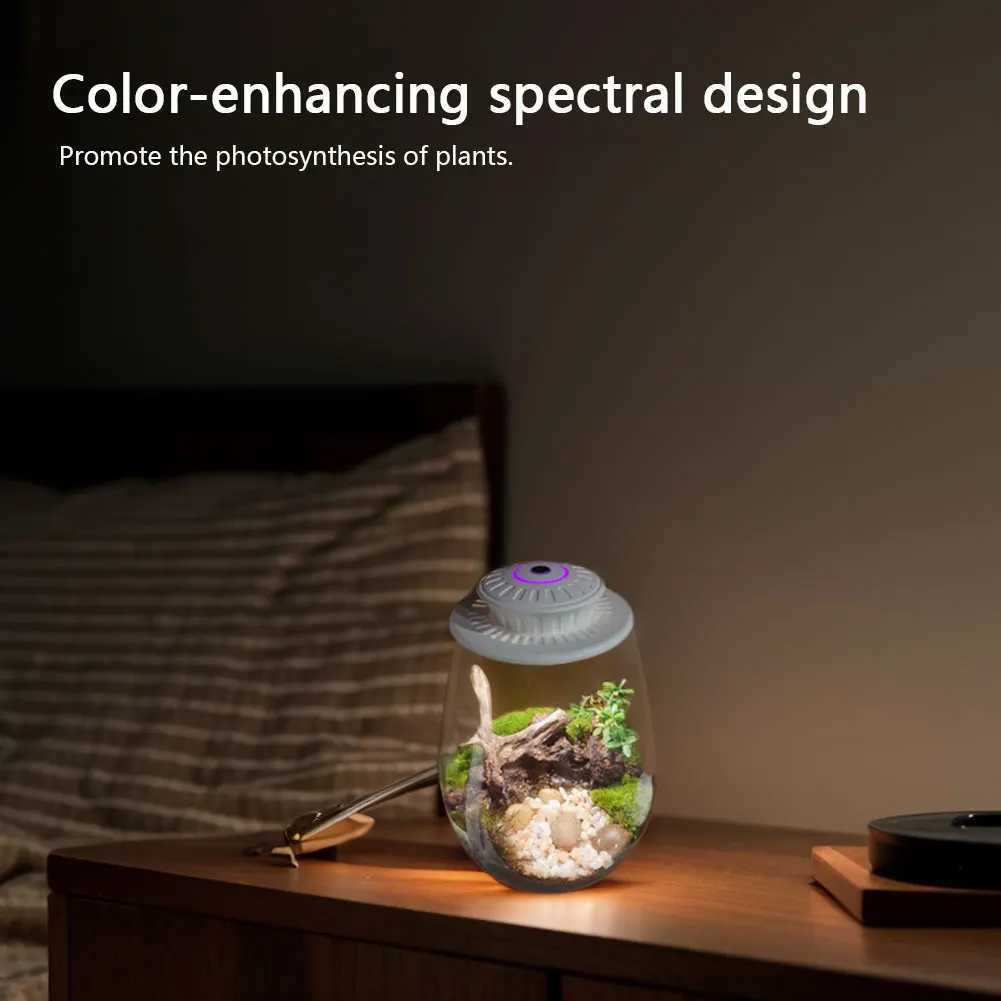 Fern Moss MicroLandscape Grow Light with Timer LED Full Spectrum Growing Lamp 6500K for Indoor Plants Succulents Mini Bonsai C250919