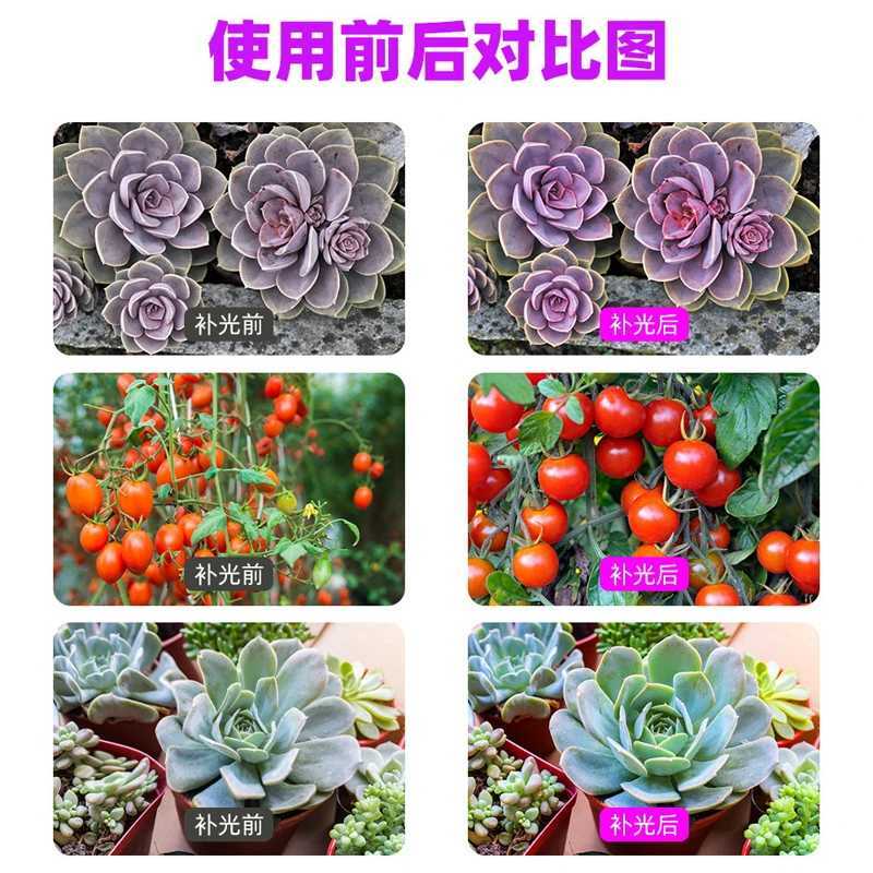 5000W Quantum Board LED Grow Light Phyto Lamp Full Spectrum LED Plants Bulb Indoor 4000W Phytolamp For Flower Seedling Fitolamp C2509191