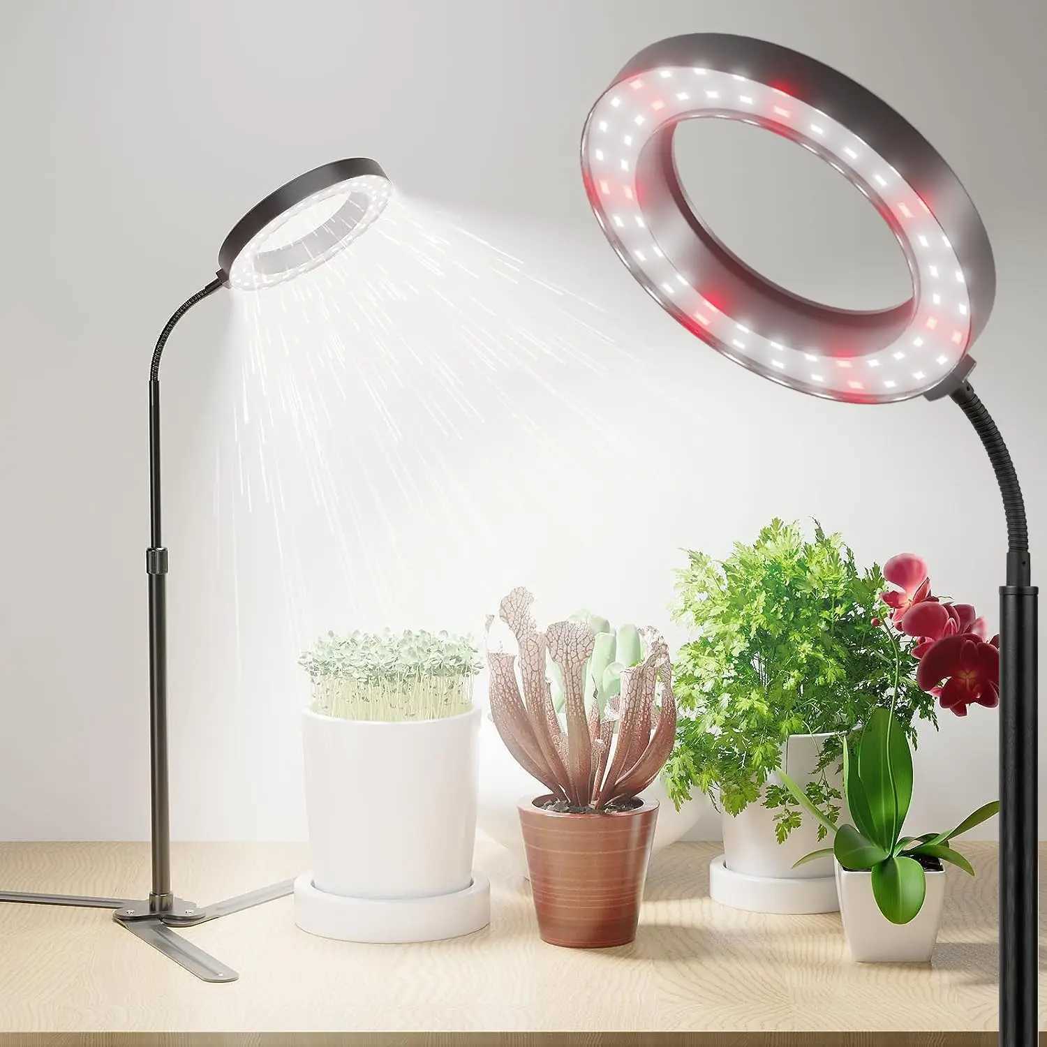 Plant Grow Light LED Full Spectrum Plant Growing Lamp for Home Office Indoor PlantsAdjustable Height Auto Timer C2509191