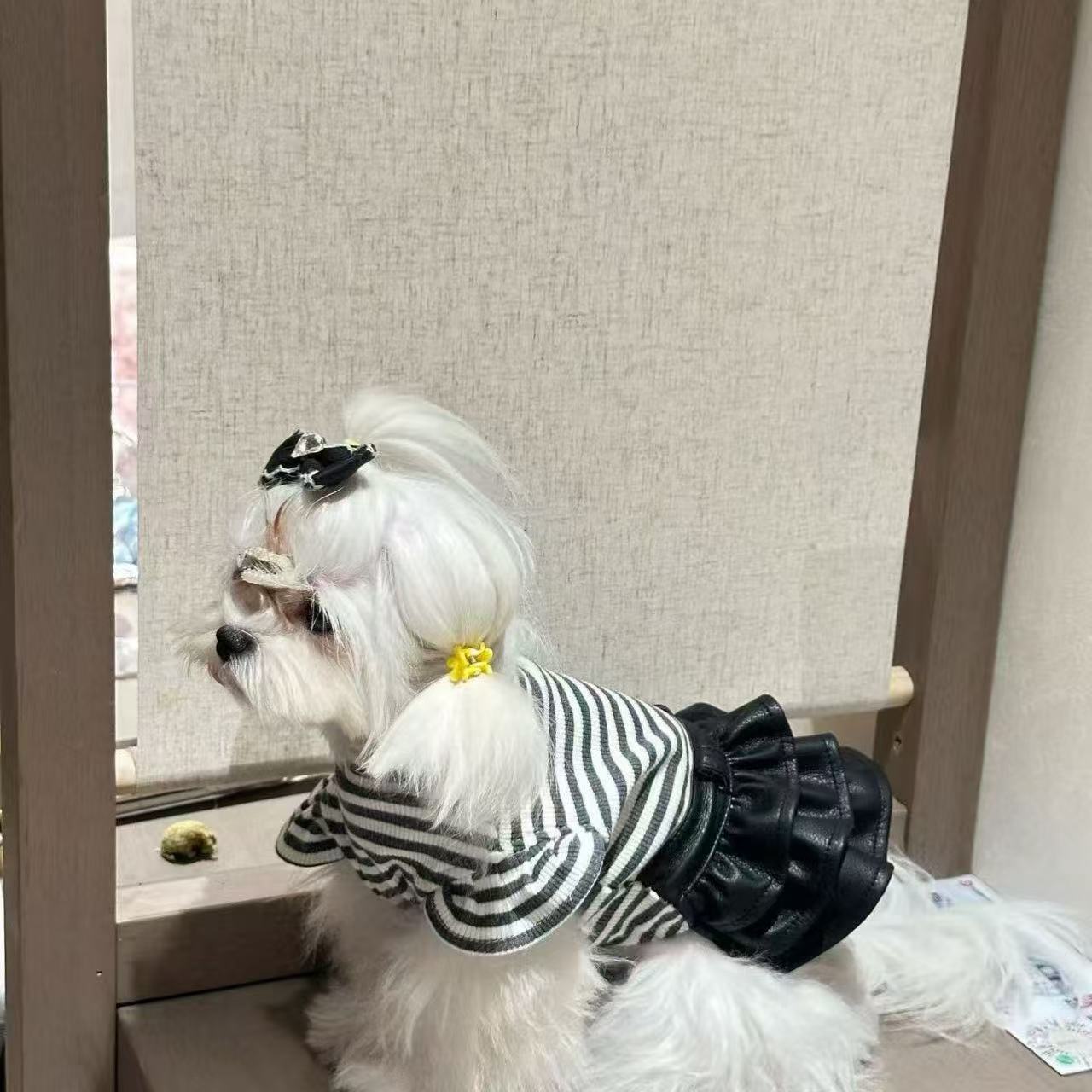 T1255 Autumn and winter new pet clothing puppy Teddy Bichon winter clothes pastoral style floral four-legged