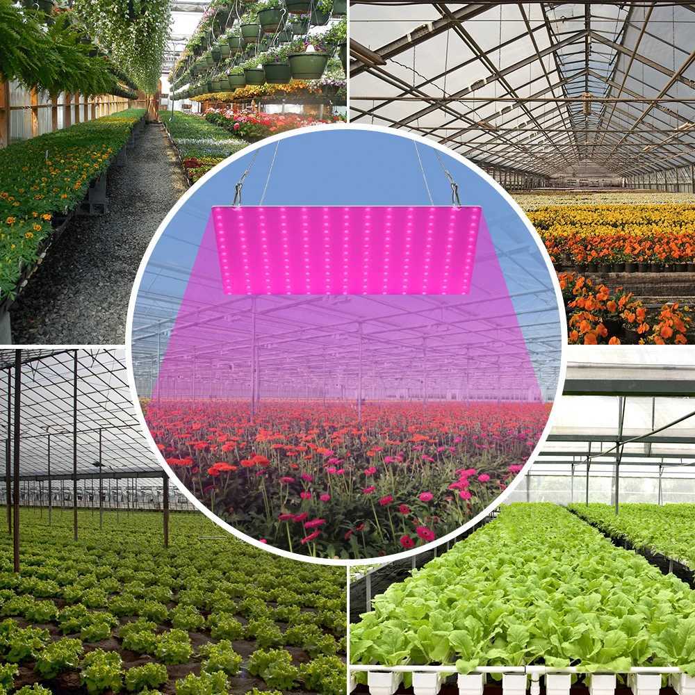 LED Indoor Plant Light Full Spectrum LED Grow Panel Phyto Lamp For Cultivation Planting Flower Seedlings Hydroponics Grow Box C250919