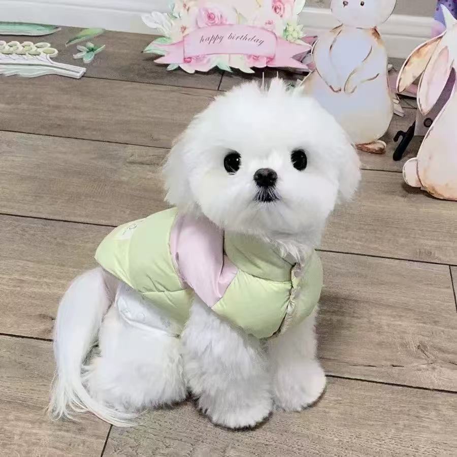 T1257 Dog Clothes Autumn and Winter Thick Cat Princess Fantasy Fragrance Wind Traction Warm Small Pet