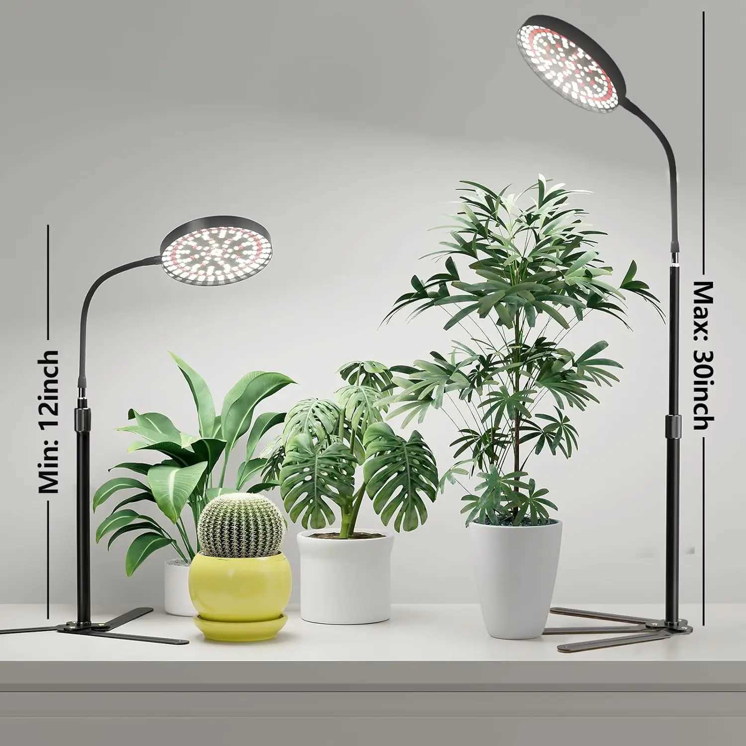 Plant Grow Light LED Full Spectrum Plant Growing Lamp for Home Office Indoor PlantsAdjustable Height Auto Timer C250919