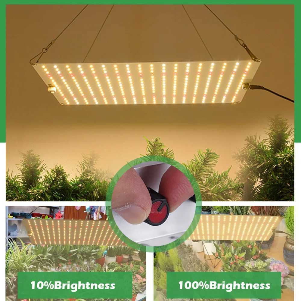 LED Grow Light LM281B flower growing Chip Full Spectrum Phyto Lamp For Greenhouse Hydroponic Plant Growth Lighting C250919