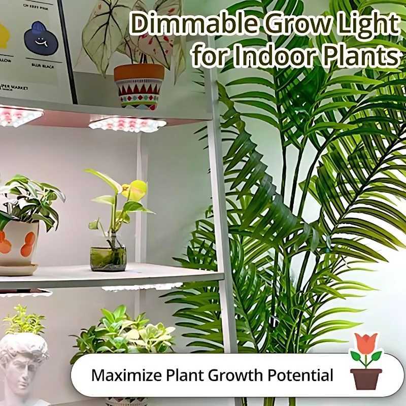 Indoor USB 5V LED Quantum Board Grow Light Full Spectrum Hydroponic Plant Lamp with Timer 3Color Dimming Waterproof Home Garden C250919
