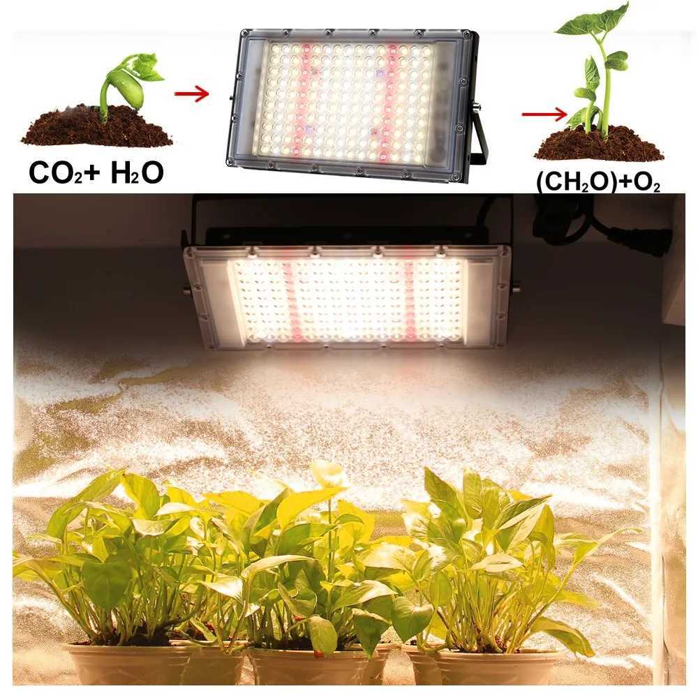 Full Spectrum 380840nm Sunlight Growth Light IP65 LED 50W 100W 300W Plant Grow Light with EU US Plug for Indoor greenhouse C250919