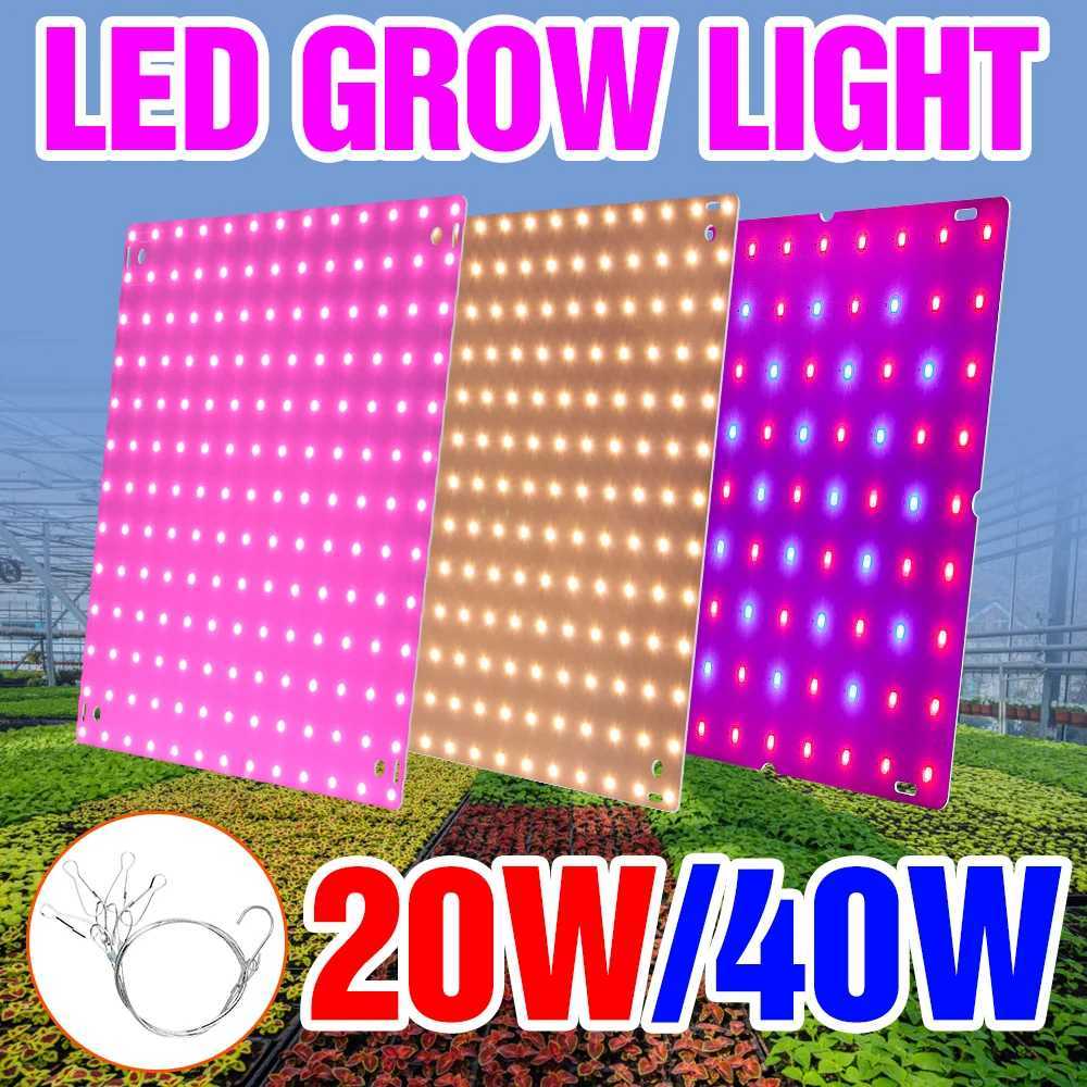 LED Indoor Plant Light Full Spectrum LED Grow Panel Phyto Lamp For Cultivation Planting Flower Seedlings Hydroponics Grow Box C250919