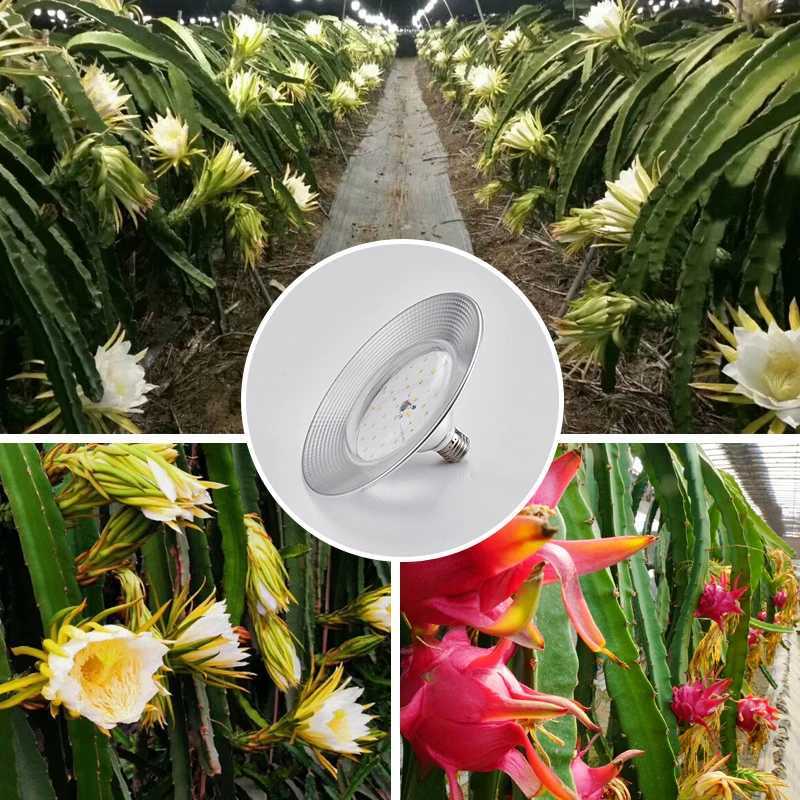 LED Grow Light 18W AC85265V Full Spectrum E27 Sunlike Phytolamp Bulb Plants Flower Greenhouse Tent Hydroponic Plant Growth Lamp C250919