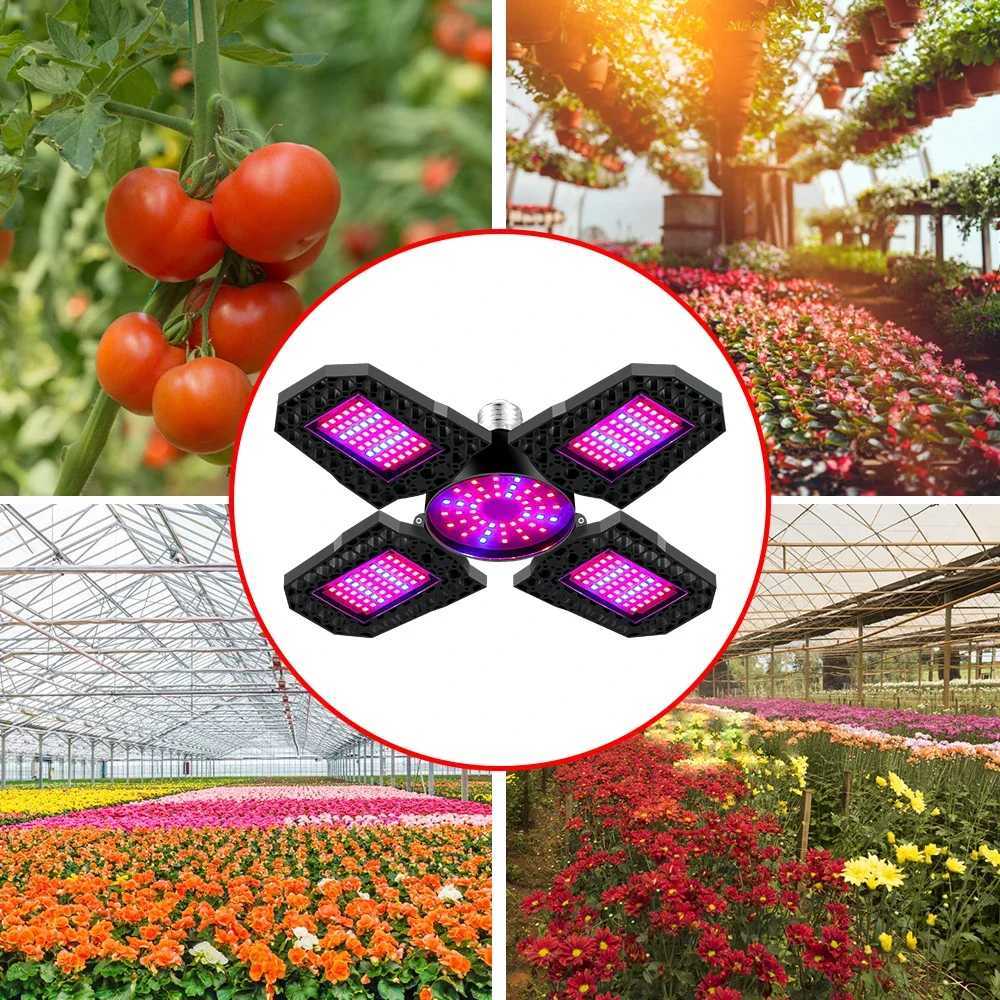 2PCS 200W E26E27 LED Deformable Plants Light Full Spectrum Grow Lamp Indoor Seed Fill Lighting 110V Greenhouse Tent Hydroponics C250919