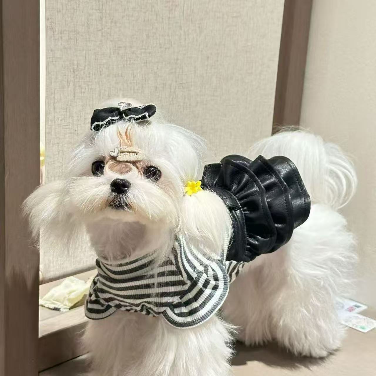 T1255 Autumn and winter new pet clothing puppy Teddy Bichon winter clothes pastoral style floral four-legged