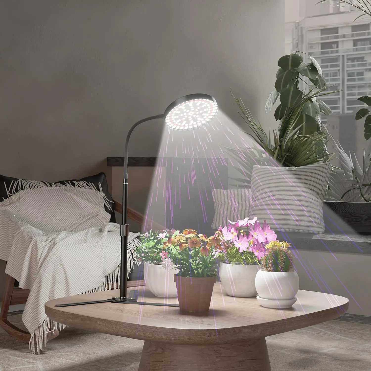 Plant Grow Light LED Full Spectrum Plant Growing Lamp for Home Office Indoor PlantsAdjustable Height Auto Timer C250919