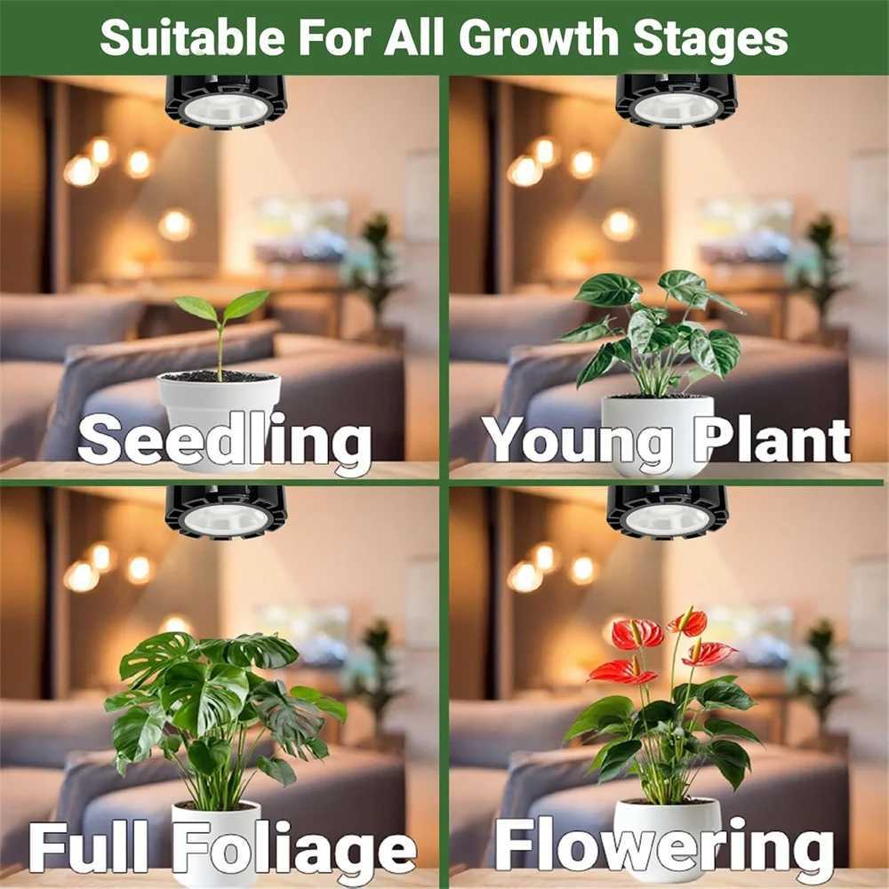 Grow Light for Indoor Plants Full Spectrum 12W Dimmable Grow Light Bulb with Remote Auto Timer Plant Light Bulb with E27 Base C250919