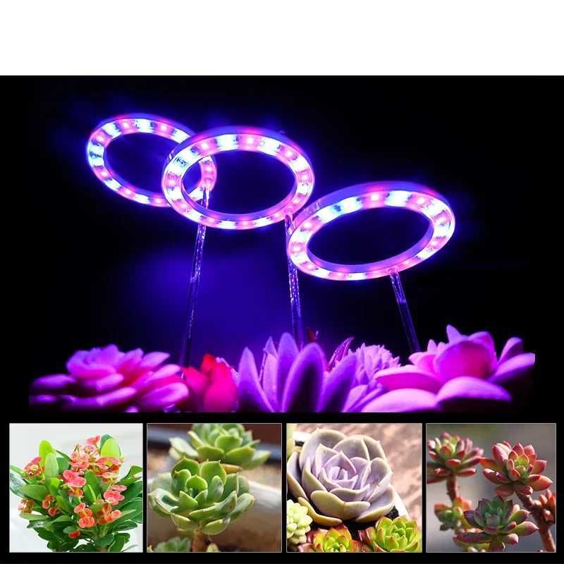LED Angel Ring Grow Light DC 5V USB Phytolamp for Plants Full Spectrum Lamps For Indoor Plant Greenhouse Seedlings Home Flower C250919