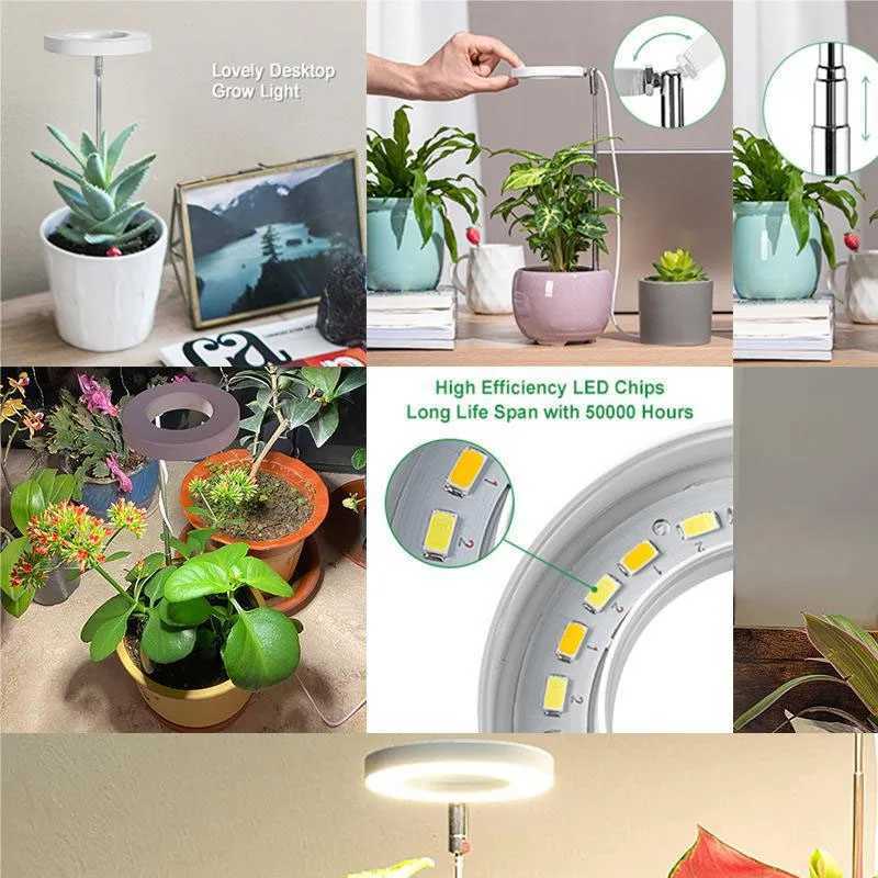 LED Grow Light Full Spectrum Plant Lamp Adjustable Dimmable Growing Lamp LED Hydroponics Lamp with Timer for Indoor Plants Light C250919
