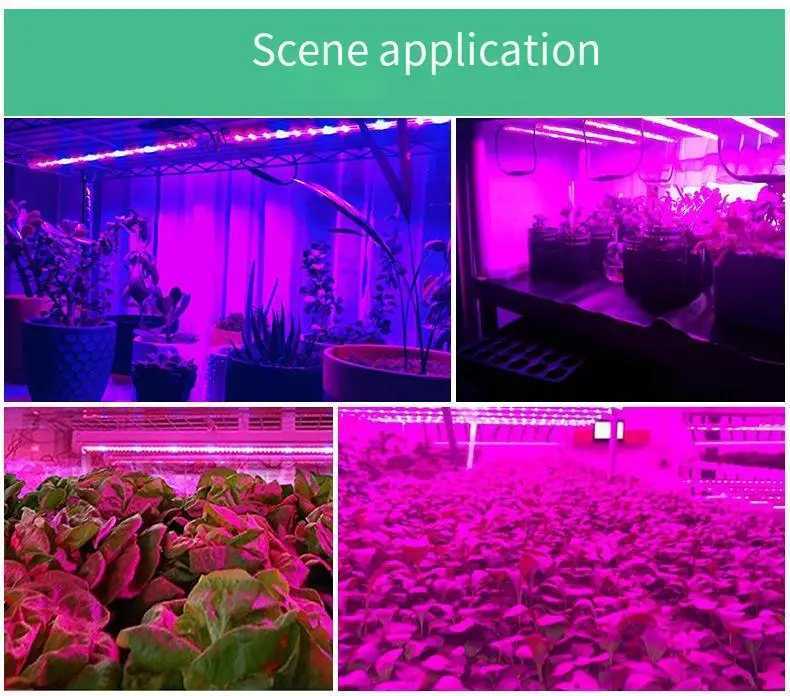 DC 5V USB Led Plant Grow Lights1m 2m 3m Full Spectrum Phyto Lamp Strip for Plants Hydroponics Greenhouse Growing System C250919