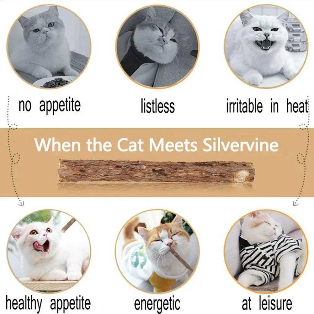 15pcs Natural Matatabi Cat Catnip Toy Kitten Molar Chew Stick Pet Cleaning Teeth Cat Treat Toy Actinidia Silvervine Pet Products X250918