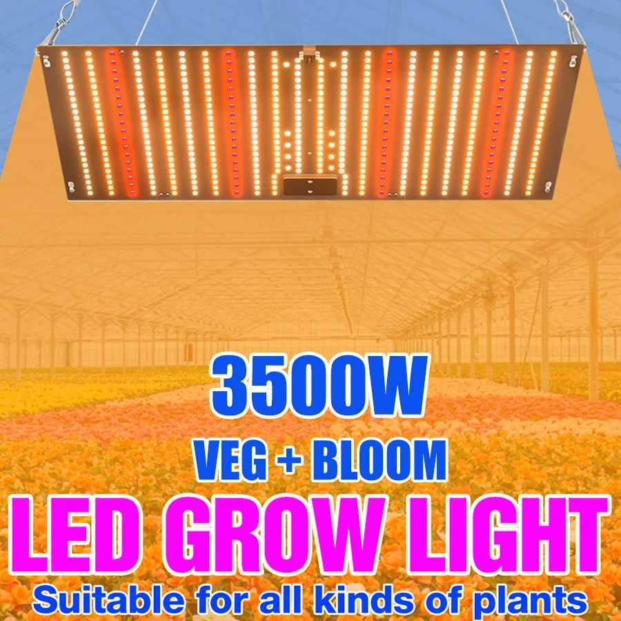 3500W Led Grow Light Phyto Lamp For Plants Bulb Full Spectrum Quantum Board Hydroponics Greenhouse Flowers Seeds Growth Lamp C250919