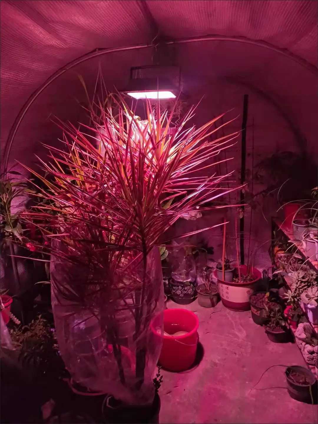 Solar LED Grow Light Full Spectrum Floodlight Plant Growing Light with remote Waterproof Phytolamp for Indoor Outdoor Plants C250919