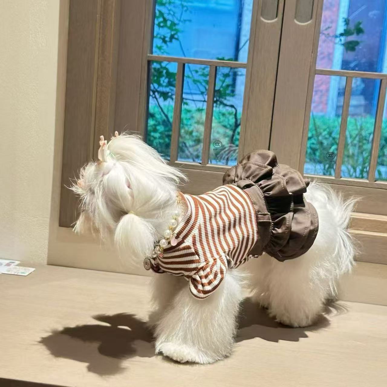 T1254 High-grade gray lace dress Bichon Pomeranian cat and dog universal autumn new product