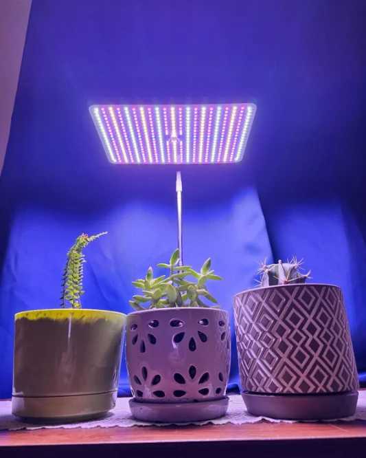 BESTVA Full Spectrum Grow Lights 18W Adjustable Stand Timmer Dimmable 3000K 5000K Phytolamp for Plants Hydroponic Growing System C250919