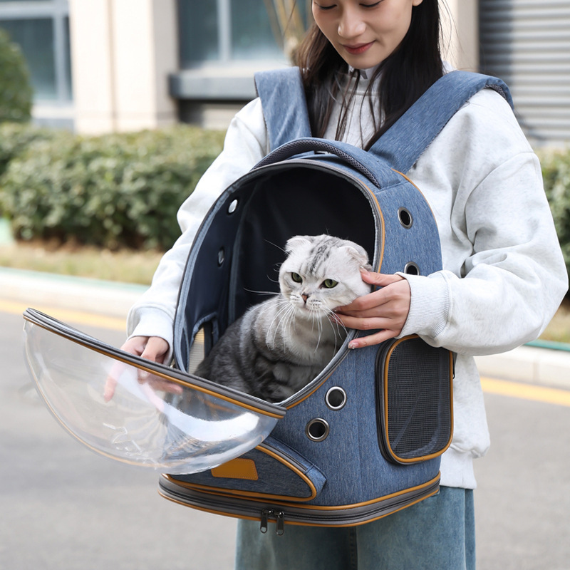 New Cat Backpack Large Capacity Breathable Panoramic Space Capsule Pet Outing Portable Bag