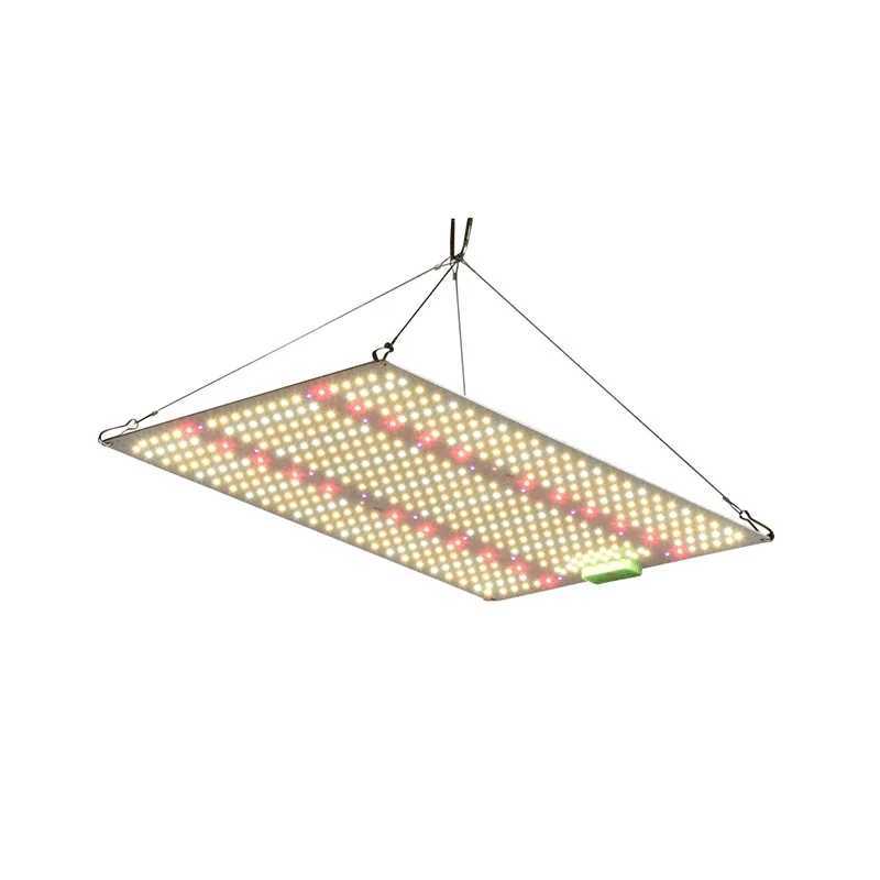 New LED Grow Light Plant Growth Lamp Dimmable Quantum Board Greenhouse Vegetable Fruit Seed Flower Full Spectrum Fill Light C250919