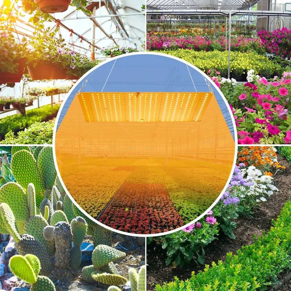 3500W Led Grow Light Phyto Lamp For Plants Bulb Full Spectrum Quantum Board Hydroponics Greenhouse Flowers Seeds Growth Lamp C250919